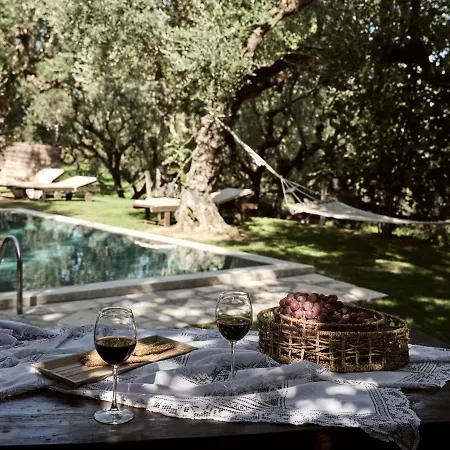Vafias - Tranquil Location, Ideal For Large Groups, By Zantewize Vila *